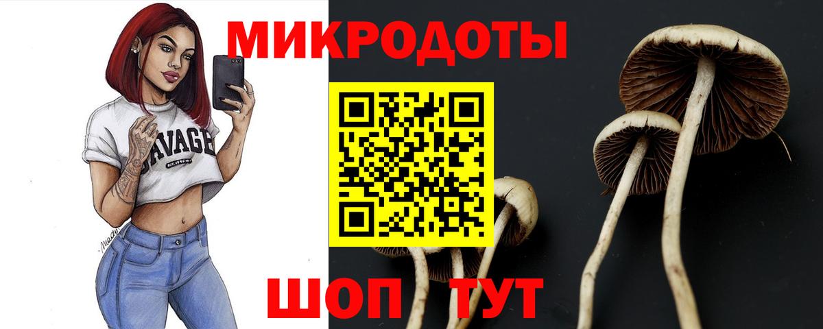 Строитель  Псилоцибиновые грибы GOLDEN TEACHER  Вход с VPN 